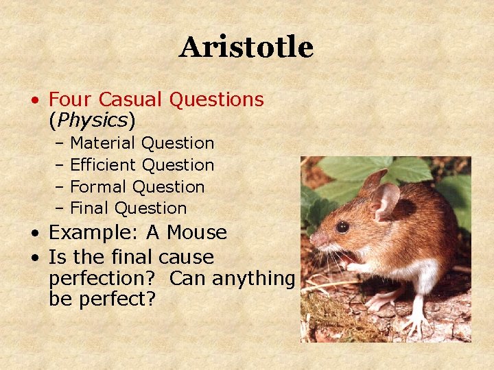 Aristotle • Four Casual Questions (Physics) – Material Question – Efficient Question – Formal