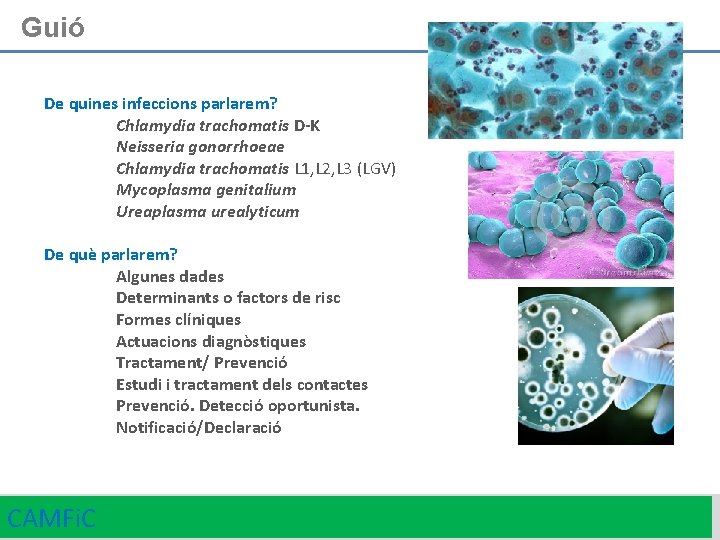 Guió De quines infeccions parlarem? Chlamydia trachomatis D-K Neisseria gonorrhoeae Chlamydia trachomatis L 1,