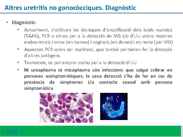 Altres uretritis no gonocòcciques. Diagnòstic • Diagnòstic: • Actualment, s’utilitzen les tècniques d’amplificació dels