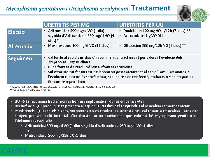 Mycoplasma genitalium i Ureaplasma urealyticum. Tractament. Elecció Alternatiu Seguiment URETRITIS PER MG • Azitromicina