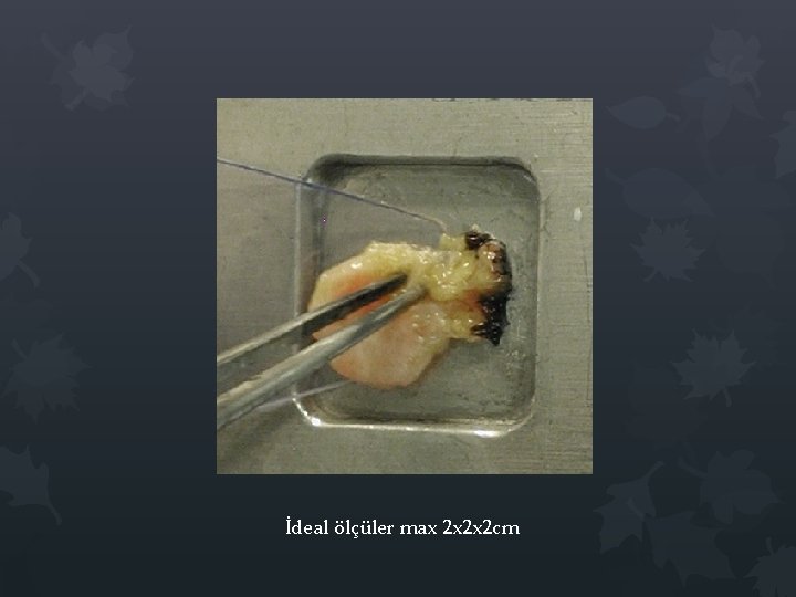 İdeal ölçüler max 2 x 2 x 2 cm İdeal ölçüler max 2 x 2 x 2 cm