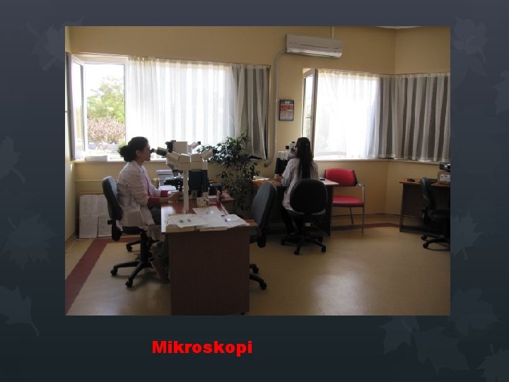 Mikroskopi Mikroskopi