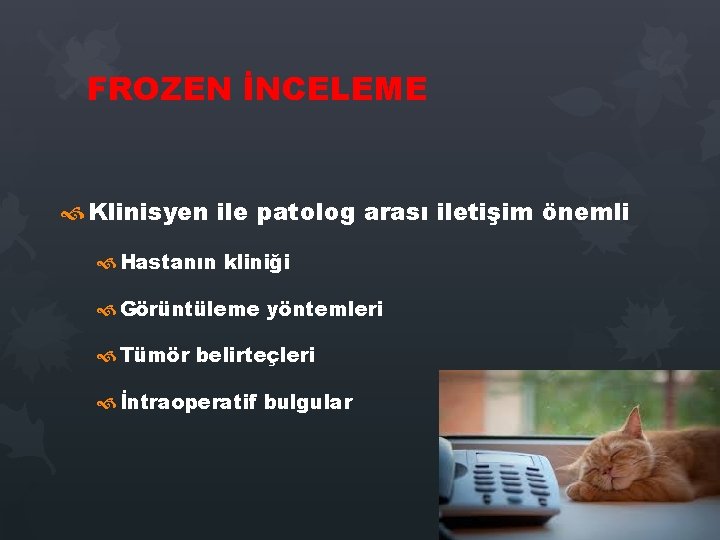 FROZEN İNCELEME Klinisyen ile patolog arası iletişim önemli Hastanın kliniği Görüntüleme yöntemleri Tümör belirteçleri FROZEN İNCELEME Klinisyen ile patolog arası iletişim önemli Hastanın kliniği Görüntüleme yöntemleri Tümör belirteçleri