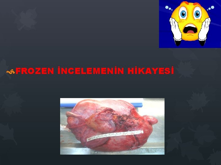FROZEN İNCELEMENİN HİKAYESİ FROZEN İNCELEMENİN HİKAYESİ