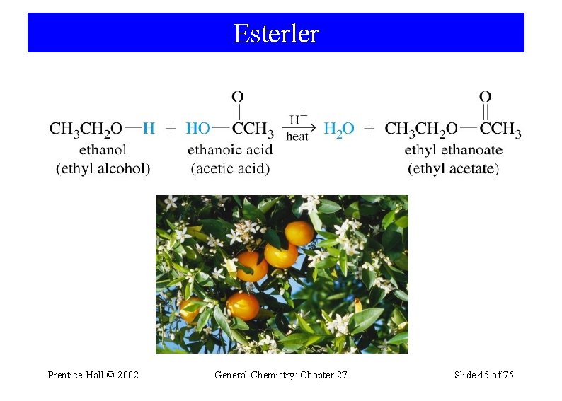 Esterler Prentice-Hall © 2002 General Chemistry: Chapter 27 Slide 45 of 75 