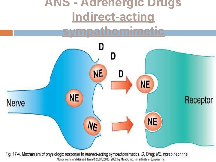 ANS - Adrenergic Drugs Indirect-acting sympathomimetic 