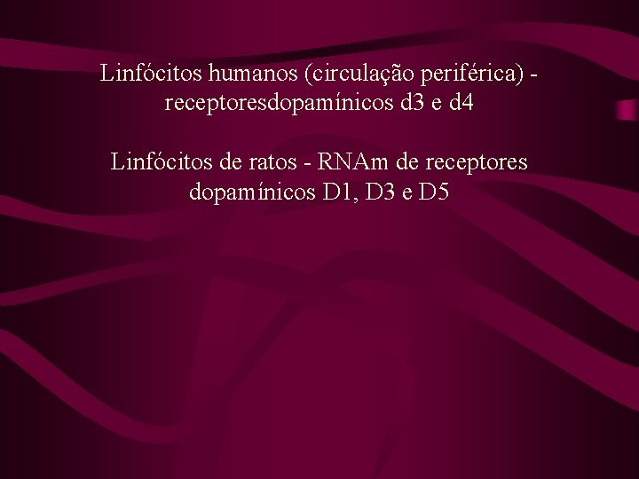 Linfócitos humanos (circulação periférica) receptoresdopamínicos d 3 e d 4 Linfócitos de ratos -