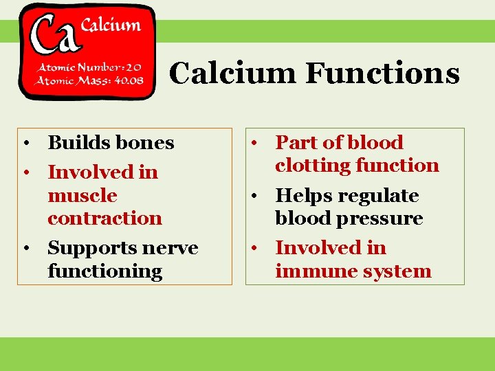  Calcium Functions • Builds bones • Involved in muscle contraction • Supports nerve