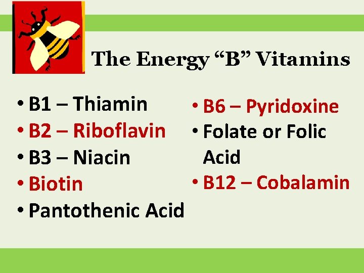 The Energy “B” Vitamins • B 1 – Thiamin • B 6 – Pyridoxine