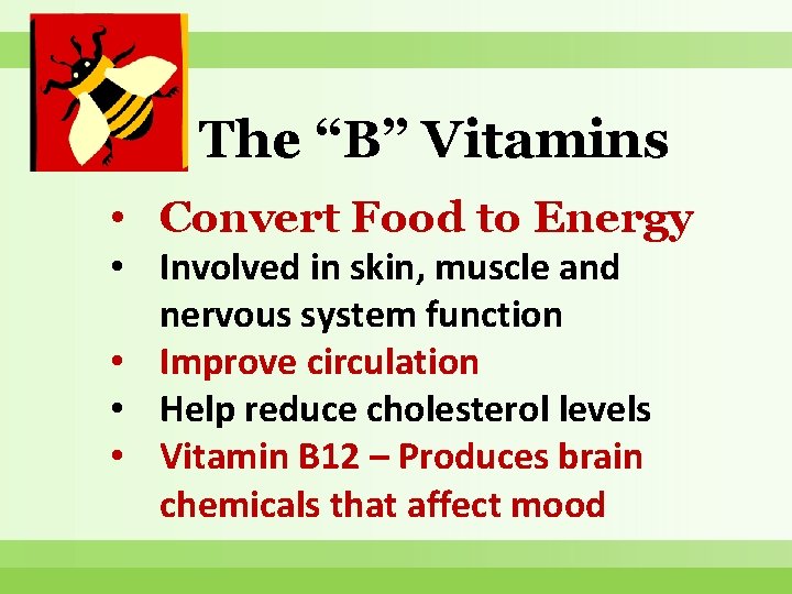 The “B” Vitamins • Convert Food to Energy • Involved in skin, muscle and