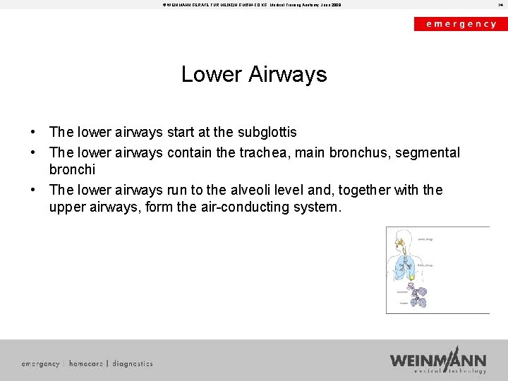 © WEINMANN GERÄTE FÜR MEDIZIN GMBH+CO. KG, Medical Training Anatomy, June 2008 Lower Airways © WEINMANN GERÄTE FÜR MEDIZIN GMBH+CO. KG, Medical Training Anatomy, June 2008 Lower Airways