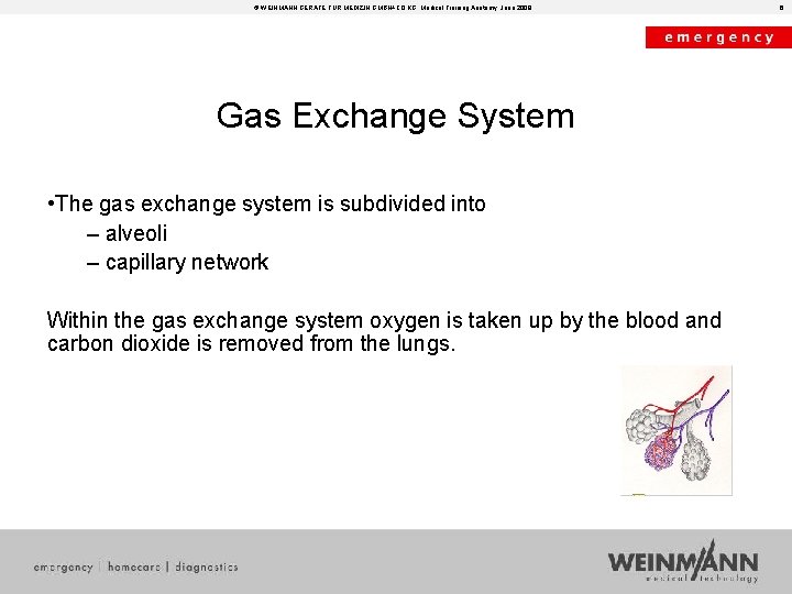 © WEINMANN GERÄTE FÜR MEDIZIN GMBH+CO. KG, Medical Training Anatomy, June 2008 Gas Exchange