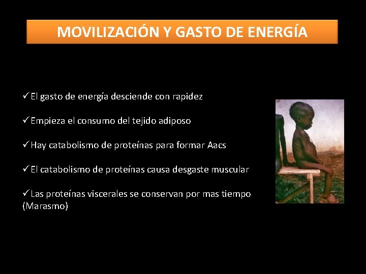 MOVILIZACIÓN Y GASTO DE ENERGÍA üEl gasto de energía desciende con rapidez üEmpieza el