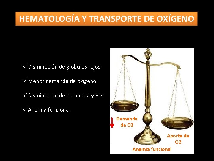 HEMATOLOGÍA Y TRANSPORTE DE OXÍGENO üDisminución de glóbulos rojos üMenor demanda de oxígeno üDisminución