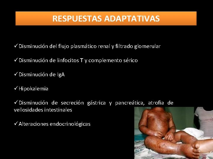 RESPUESTAS ADAPTATIVAS üDisminución del flujo plasmático renal y filtrado glomerular üDisminución de linfocitos T