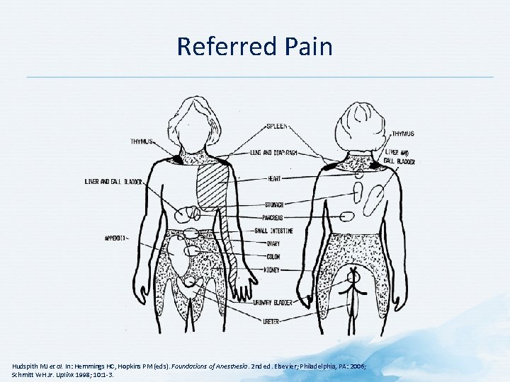 Referred Pain Hudspith MJ et al. In: Hemmings HC, Hopkins PM (eds). Foundations of