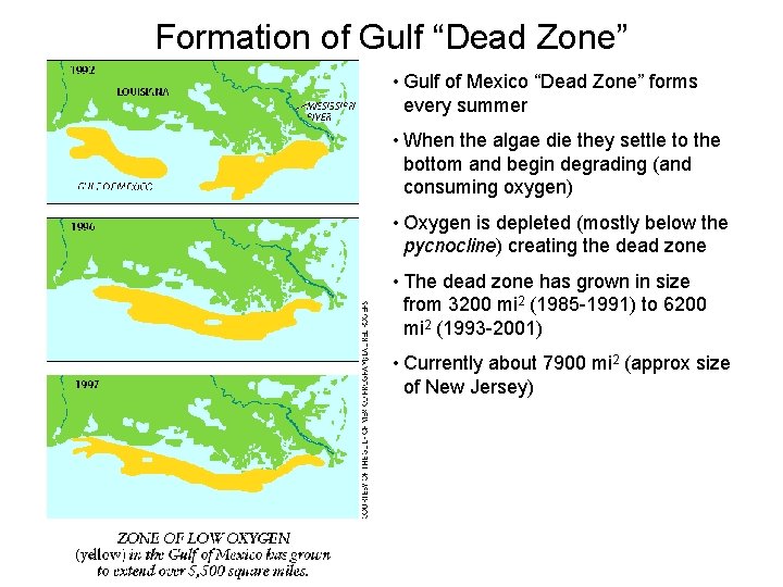 Formation of Gulf “Dead Zone” • Gulf of Mexico “Dead Zone” forms every summer