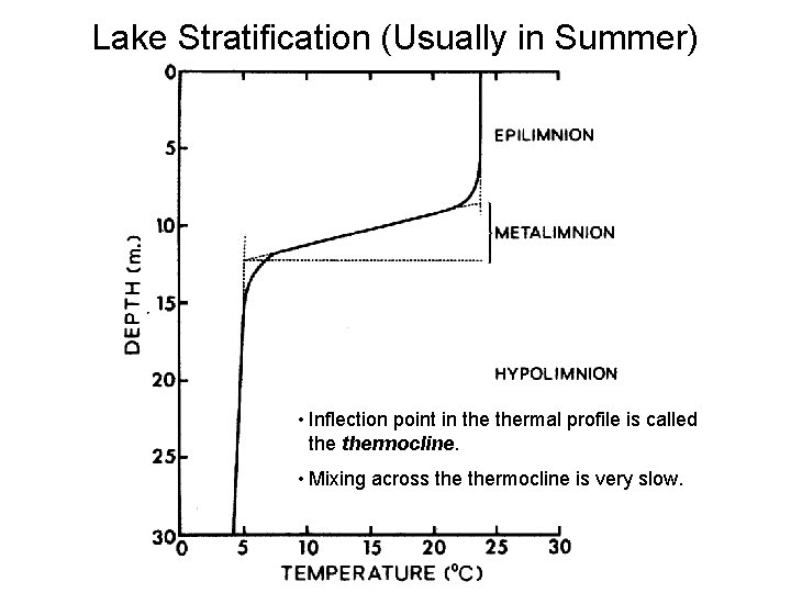 Lake Stratification (Usually in Summer) • Inflection point in thermal profile is called thermocline.