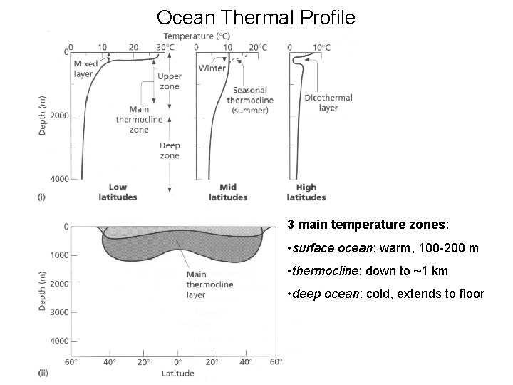 Ocean Thermal Profile 3 main temperature zones: • surface ocean: warm, 100 -200 m