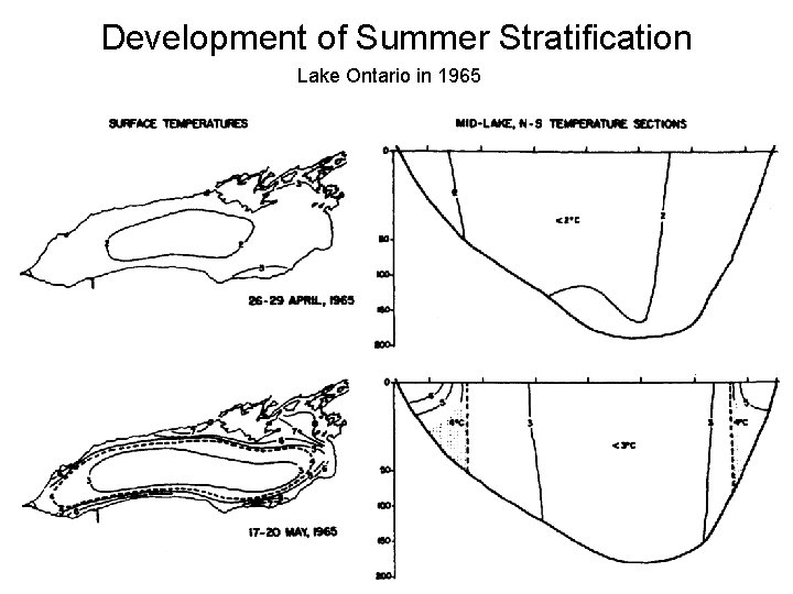 Development of Summer Stratification Lake Ontario in 1965 