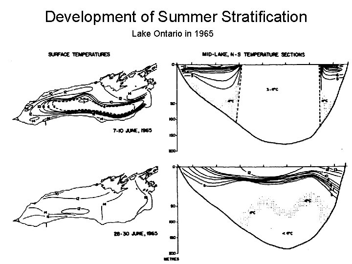 Development of Summer Stratification Lake Ontario in 1965 