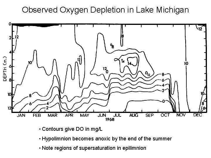 Observed Oxygen Depletion in Lake Michigan • Contours give DO in mg/L • Hypolimnion