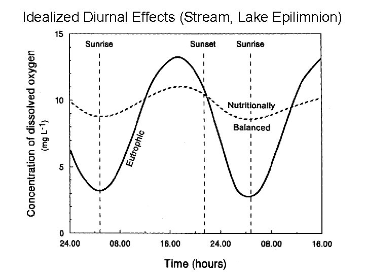 Idealized Diurnal Effects (Stream, Lake Epilimnion) 