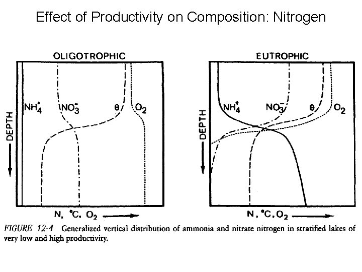 Effect of Productivity on Composition: Nitrogen 