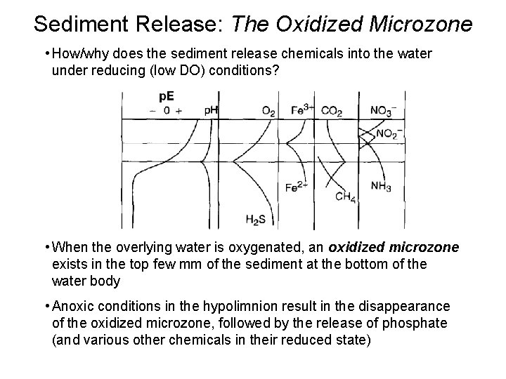 Sediment Release: The Oxidized Microzone • How/why does the sediment release chemicals into the