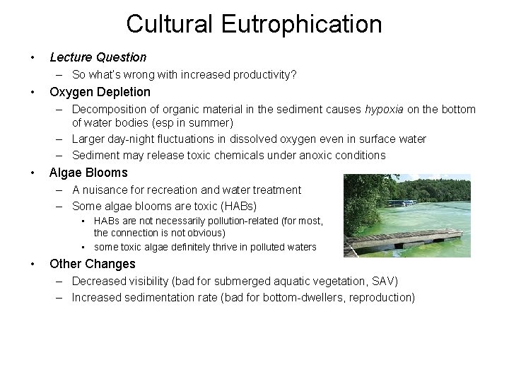 Cultural Eutrophication • Lecture Question – So what’s wrong with increased productivity? • Oxygen