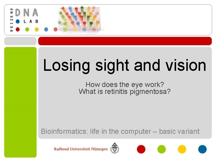 Losing sight and vision How does the eye work? What is retinitis pigmentosa? Bioinformatics: