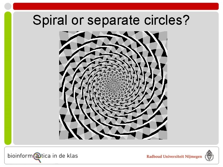 Spiral or separate circles? 