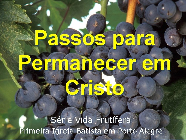 Passos para Permanecer em Cristo Série Vida Frutífera Primeira Igreja Batista em Porto Alegre