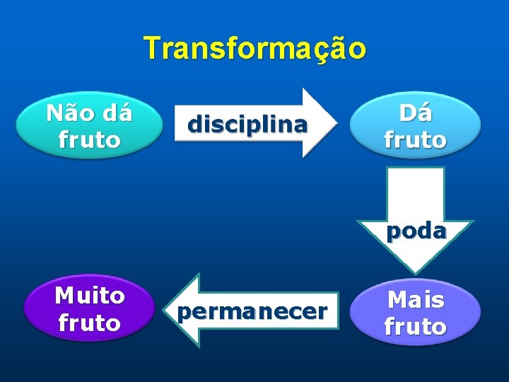 Transformação Não dá fruto poda Muito fruto permanecer Mais fruto 