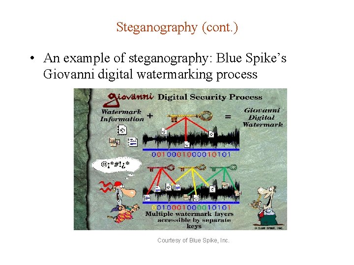 Steganography (cont. ) • An example of steganography: Blue Spike’s Giovanni digital watermarking process