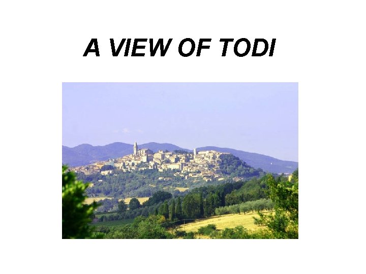 A VIEW OF TODI 