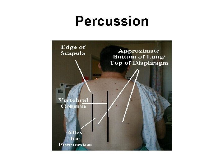 Percussion 