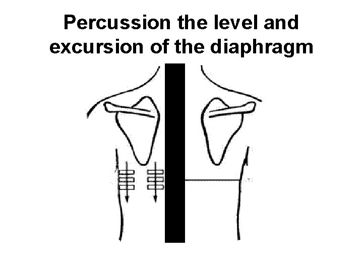 Percussion the level and excursion of the diaphragm 