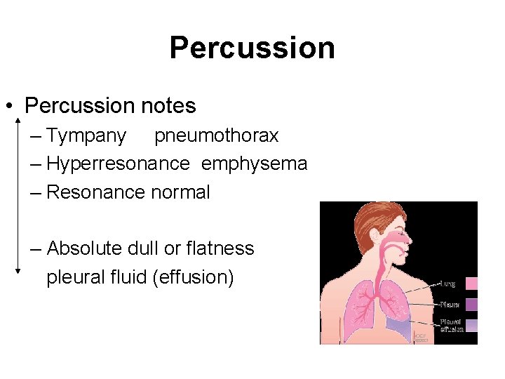 Percussion • Percussion notes – Tympany pneumothorax – Hyperresonance emphysema – Resonance normal –