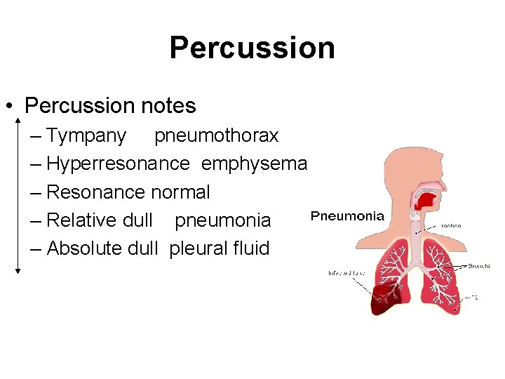 Percussion • Percussion notes – Tympany pneumothorax – Hyperresonance emphysema – Resonance normal –