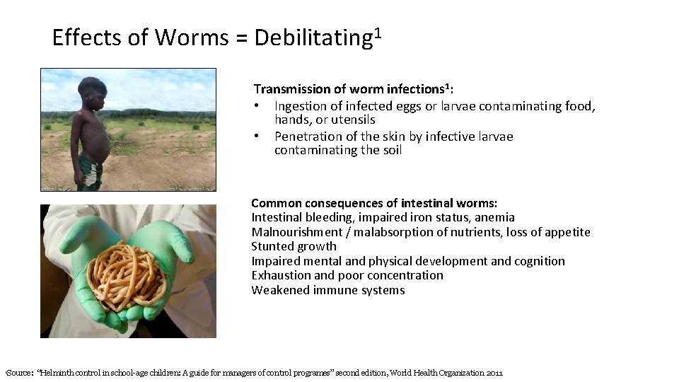 Effects of Worms = Debilitating 1 Transmission of worm infections 1: • Ingestion of