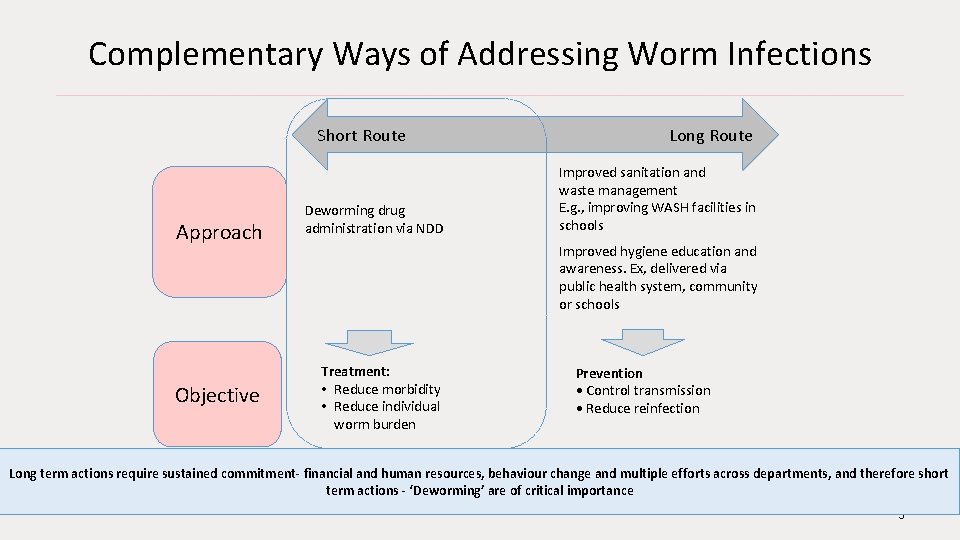 Complementary Ways of Addressing Worm Infections Short Route Approach Objective Deworming drug administration via