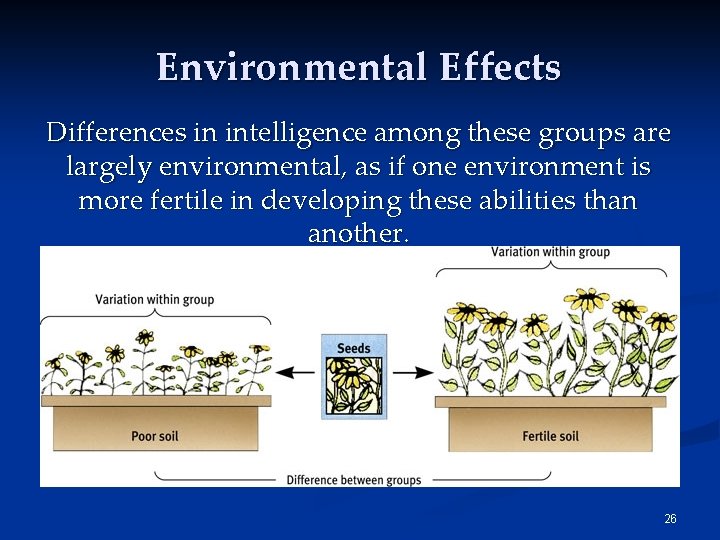 Environmental Effects Differences in intelligence among these groups are largely environmental, as if one