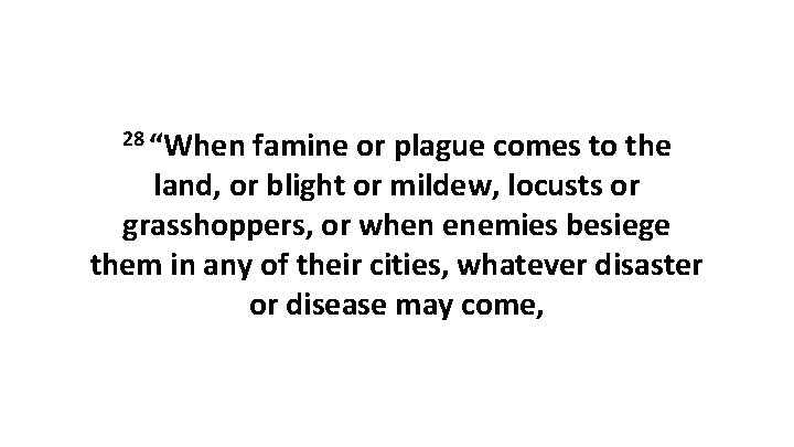 28 “When famine or plague comes to the land, or blight or mildew, locusts