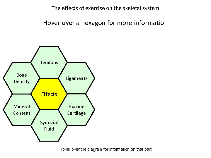 The effects of exercise on the skeletal system Hover a hexagon for more information