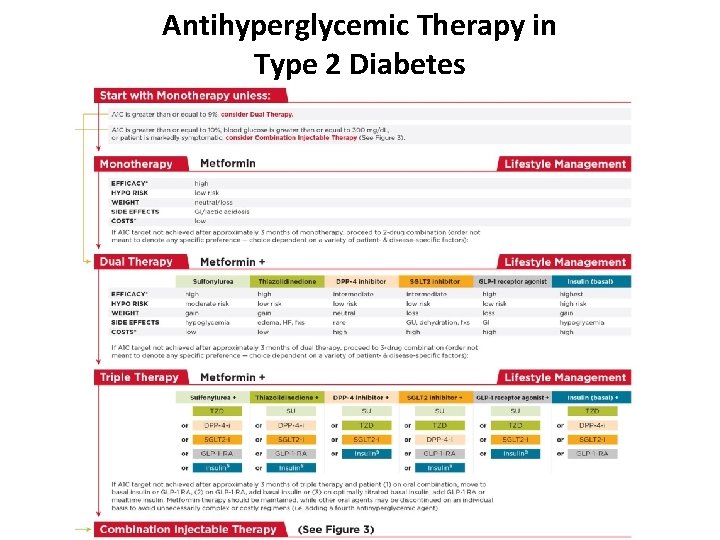 Antihyperglycemic Therapy in Type 2 Diabetes 