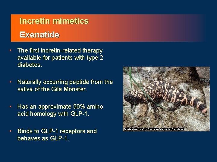 Incretin mimetics Exenatide • The first incretin-related therapy available for patients with type 2