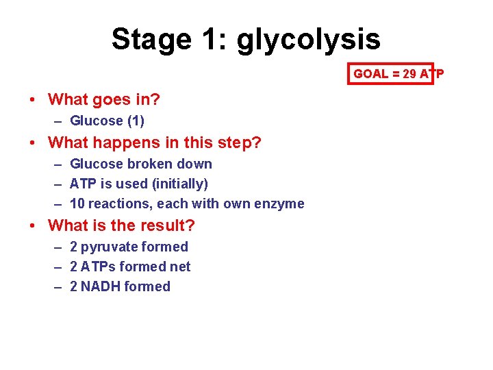 Stage 1: glycolysis GOAL = 29 ATP • What goes in? – Glucose (1)