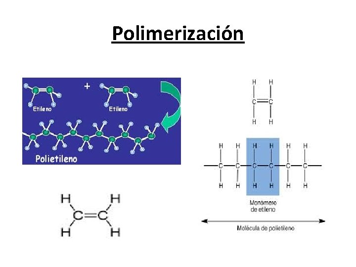Polimerización Polimerización