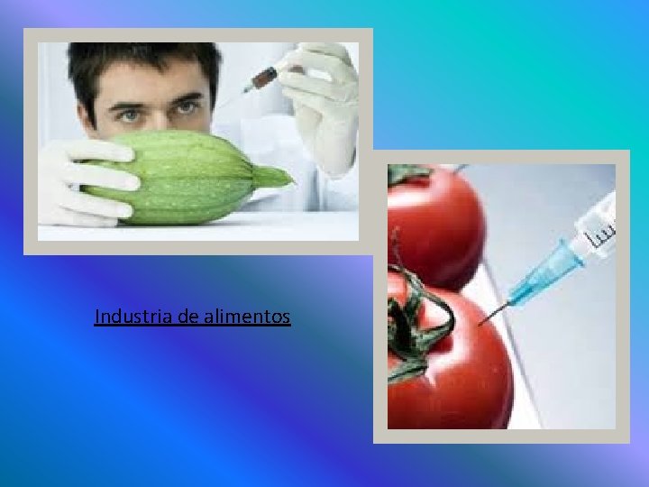 Industria de alimentos Industria de alimentos